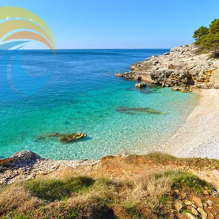 Daire Tereza 1352 *